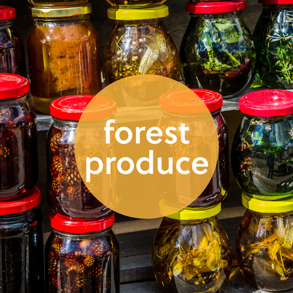 Turning forest produce into a commodity. Sustainable?